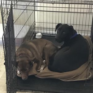 Meet your Posher, Crystalynn